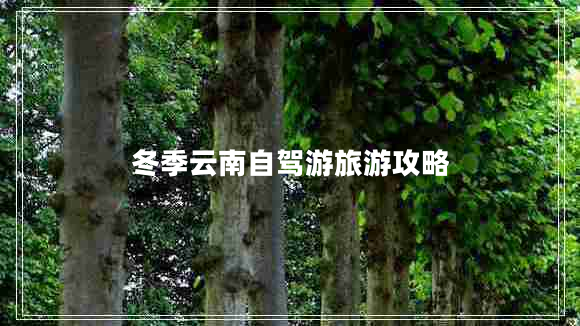 冬季云南自駕游旅游攻略 冬季云南自駕游旅游攻略