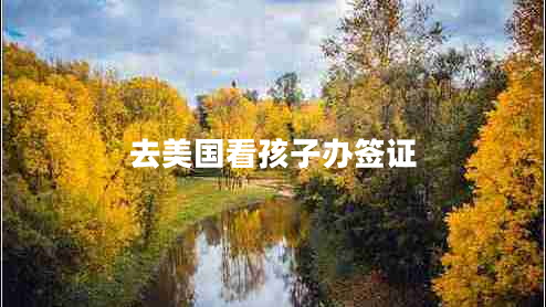 去美國(guó)看孩子辦簽證 去美國(guó)看孩子辦簽證