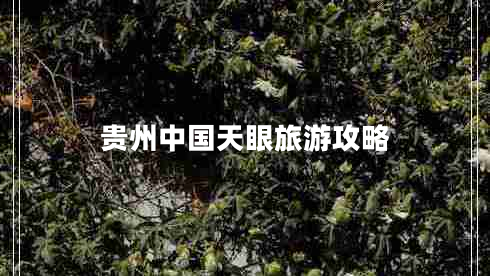 貴州中國天眼旅游攻略 貴州中國天眼旅游攻略