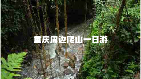 重慶周邊爬山一日游 重慶周邊爬山一日游