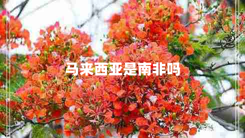 馬來(lái)西亞是南非嗎 馬來(lái)西亞是南非嗎