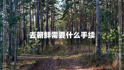 去朝鮮需要什么手續(xù)