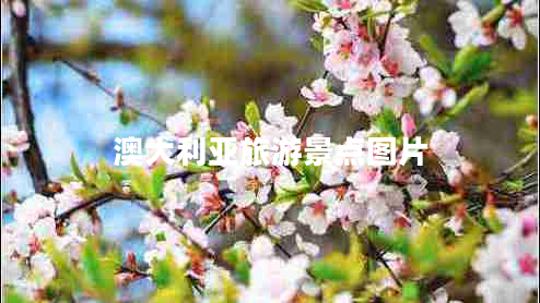 澳大利亞旅游景點(diǎn)圖片