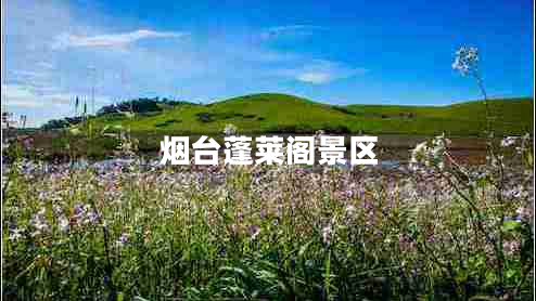 煙臺(tái)蓬萊閣景區(qū) 煙臺(tái)蓬萊閣景區(qū)