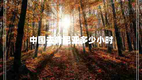 中國(guó)去肯尼亞多少小時(shí)