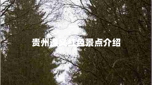 貴州遵義紅色景點介紹