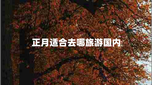正月適合去哪旅游國內(nèi)