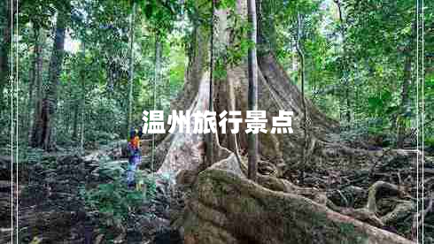 溫州旅行景點