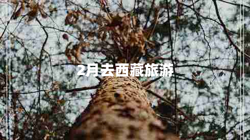 2月去西藏旅游