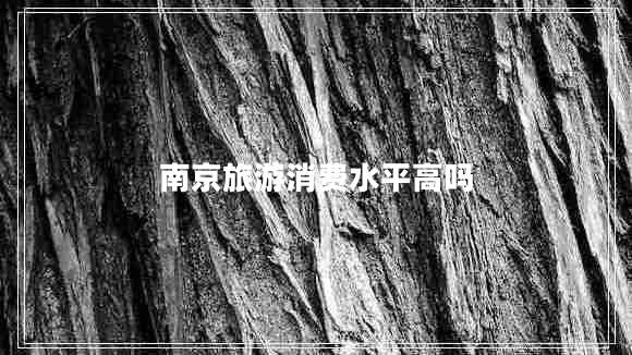 南京旅游消費(fèi)水平高嗎