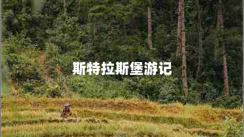 斯特拉斯堡游記 斯特拉斯堡游記