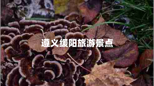 遵義緩陽旅游景點(diǎn)