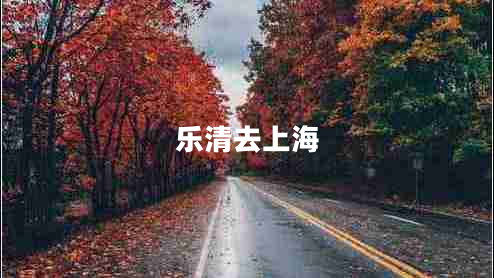 樂清去上海 樂清去上海