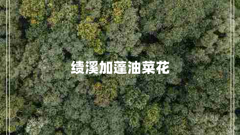 績(jī)溪加蓬油菜花