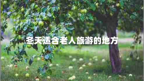 冬天適合老人旅游的地方