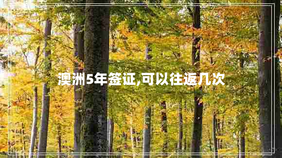 澳洲5年簽證,可以往返幾次