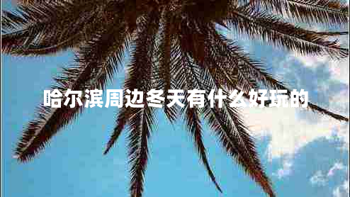 哈爾濱周邊冬天有什么好玩的