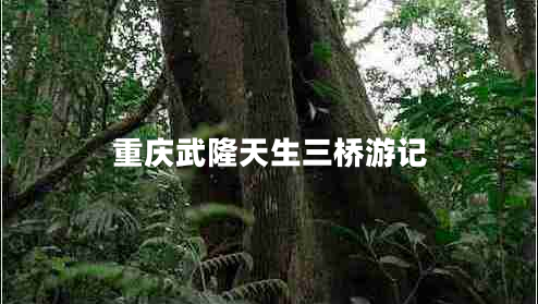 重慶武隆天生三橋游記