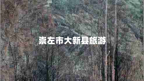 崇左市大新縣旅游