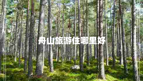 舟山旅游住哪里好