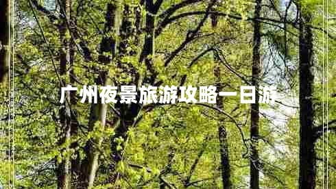 廣州夜景旅游攻略一日游