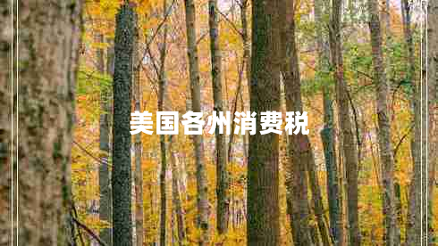 美國(guó)各州消費(fèi)稅
