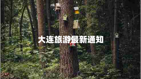 大連旅游最新通知 大連旅游最新通知