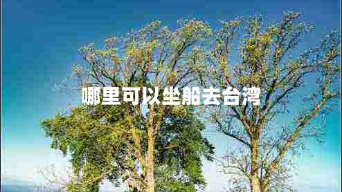 哪里可以坐船去臺(tái)灣 哪里可以坐船去臺(tái)灣