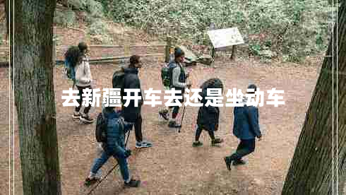 去新疆開車去還是坐動車