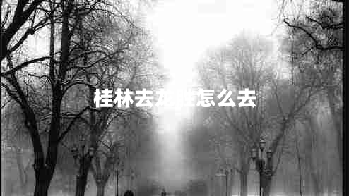 桂林去龍勝怎么去 桂林去龍勝怎么去