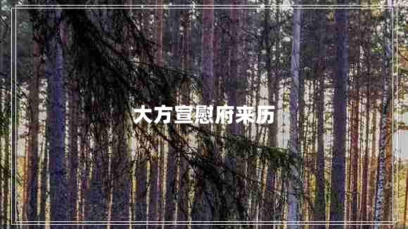 大方宣慰府來(lái)歷