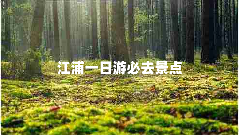 江浦一日游必去景點(diǎn)