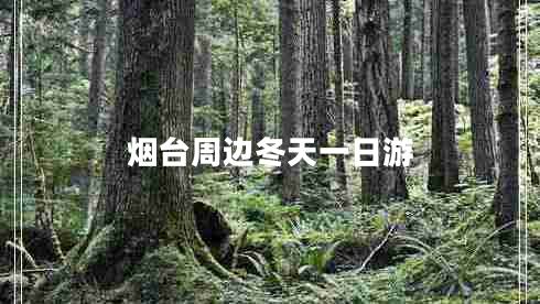 煙臺周邊冬天一日游 煙臺周邊冬天一日游