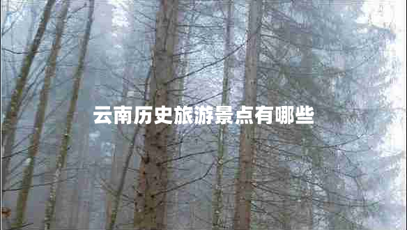 云南歷史旅游景點有哪些 云南歷史旅游景點有哪些