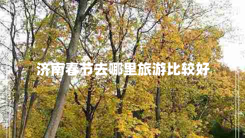 濟(jì)南春節(jié)去哪里旅游比較好 濟(jì)南春節(jié)去哪里旅游比較好