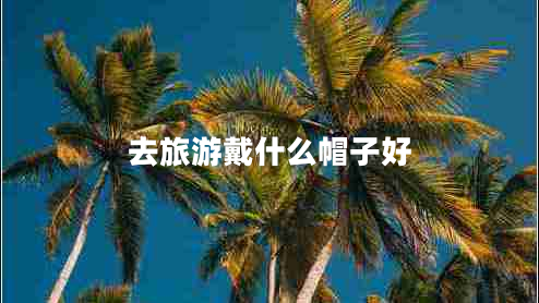 去旅游戴什么帽子好