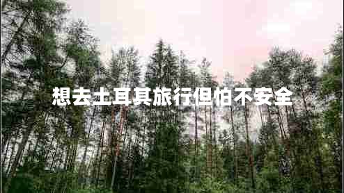 想去土耳其旅行但怕不安全 想去土耳其旅行但怕不安全