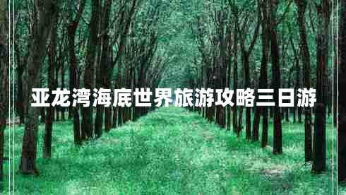 亞龍灣海底世界旅游攻略三日游 亞龍灣海底世界旅游攻略三日游