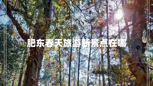 肥東春天旅游新景點在哪 肥東春天旅游新景點在哪