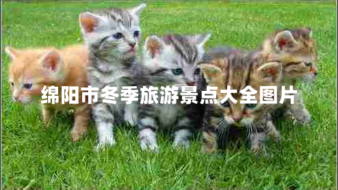 綿陽市冬季旅游景點大全圖片 綿陽市冬季旅游景點大全圖片