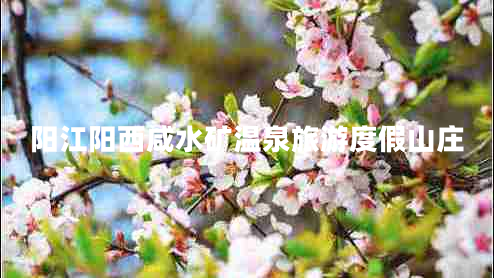 陽(yáng)江陽(yáng)西咸水礦溫泉旅游度假山莊 陽(yáng)江陽(yáng)西咸水礦溫泉旅游度假山莊