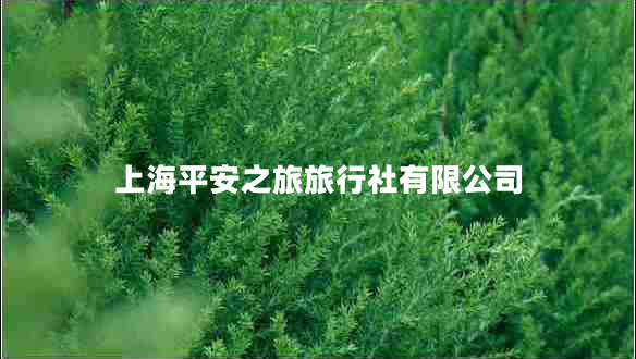 上海平安之旅旅行社有限公司 上海平安之旅旅行社有限公司