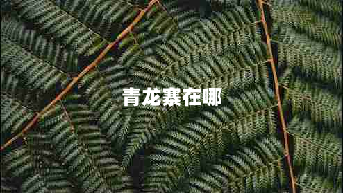 青龍寨在哪