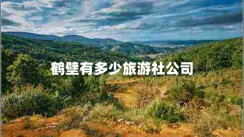 鶴壁有多少旅游社公司