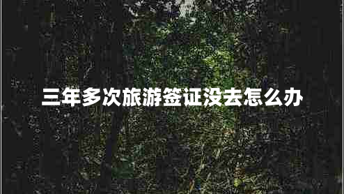 三年多次旅游簽證沒去怎么辦 三年多次旅游簽證沒去怎么辦
