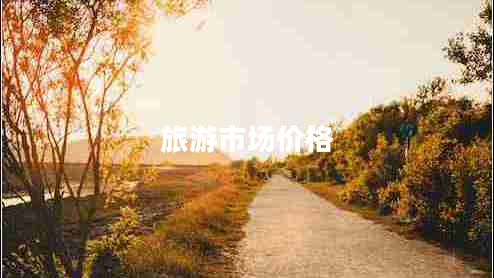 旅游市場價格