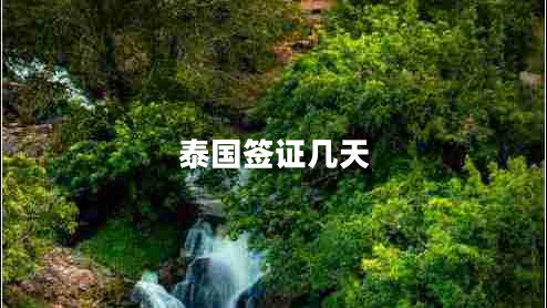 泰國(guó)簽證幾天 泰國(guó)簽證幾天