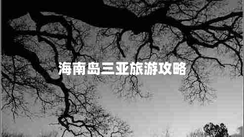 海南島三亞旅游攻略 海南島三亞旅游攻略
