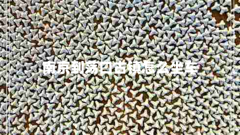 南京到蕩口古鎮(zhèn)怎么坐車