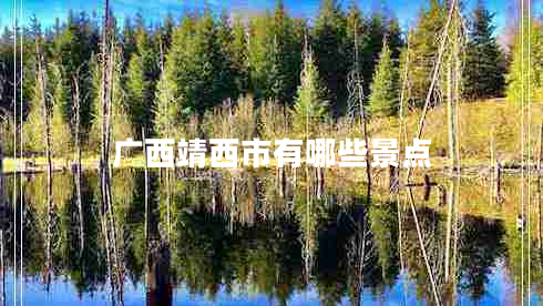 廣西靖西市有哪些景點(diǎn)